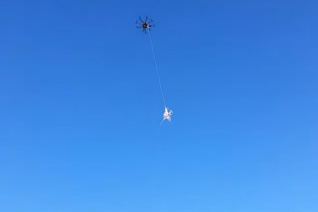 drone capture drones